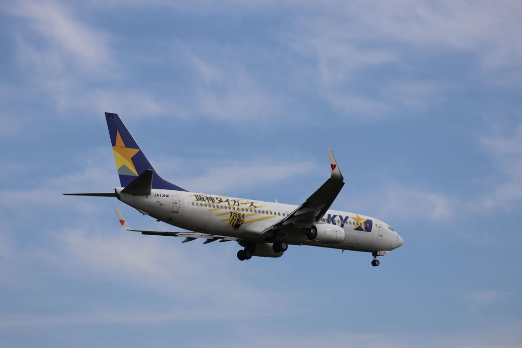 SKYMARK 阪神タイガース
キーワード: SKYMARK
