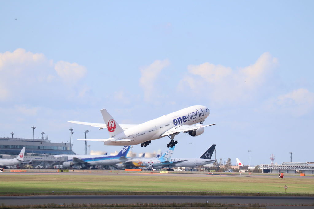 JAL
キーワード: JAL ANA