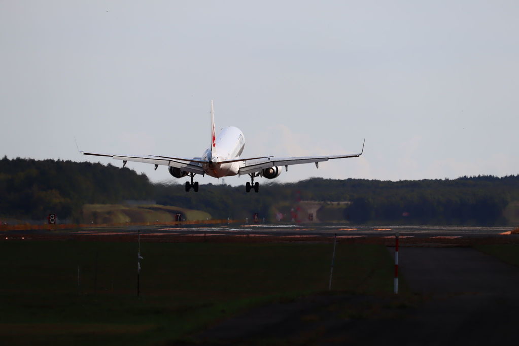 着陸
キーワード: JAL