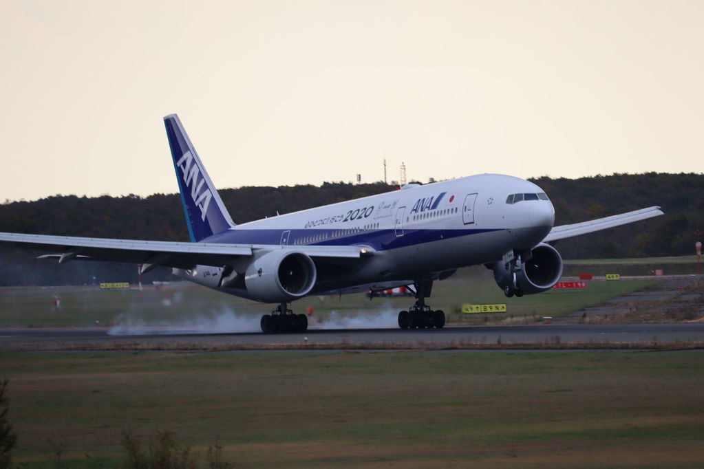ANA
