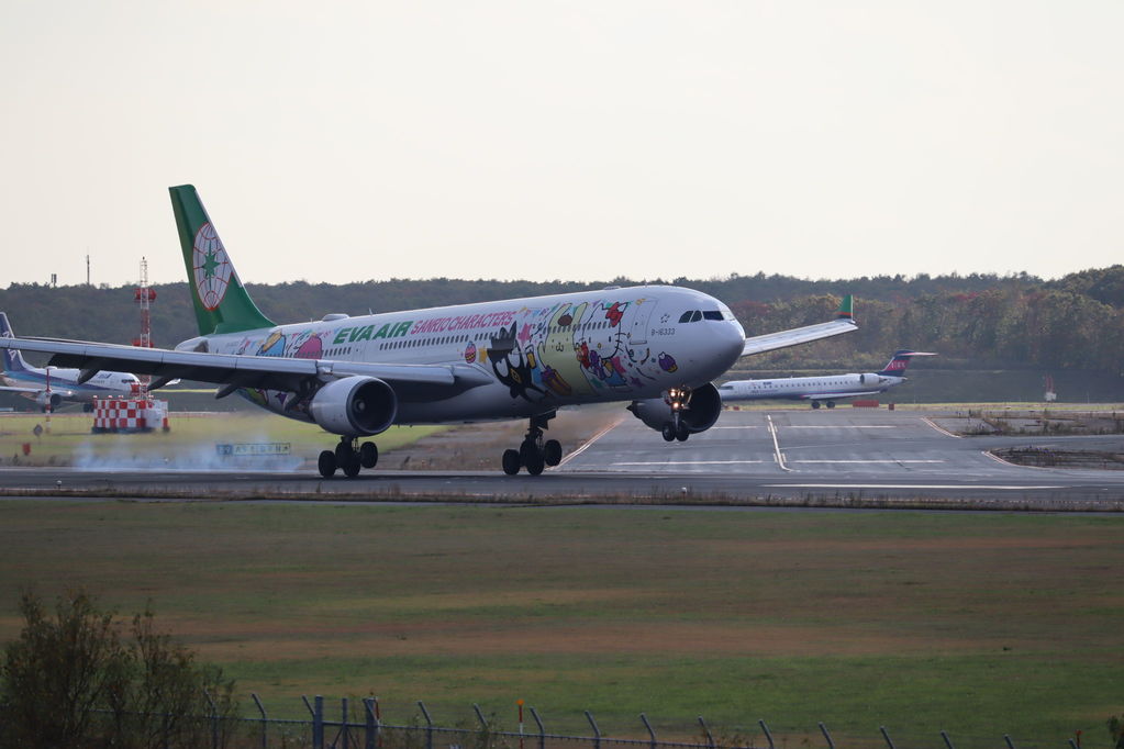 EVA AIR SANRIO CHARACTERS
キーワード: EVA
