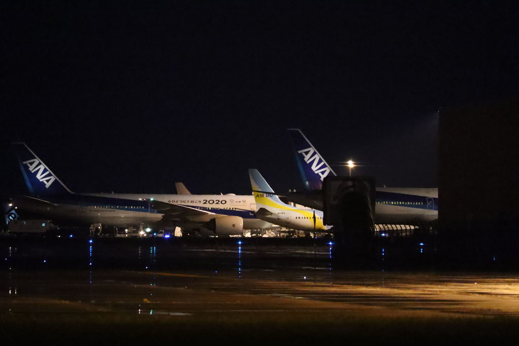 夜の千歳空港
キーワード: ANA AirDO