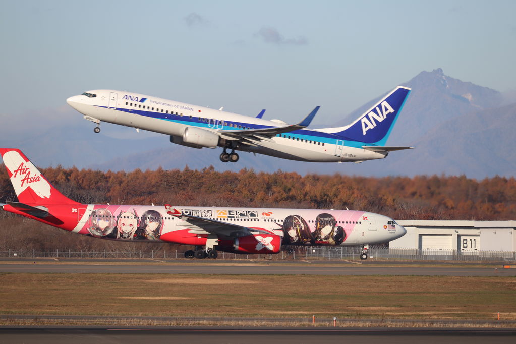 ANA Air Asia
キーワード: ANA AirAsia