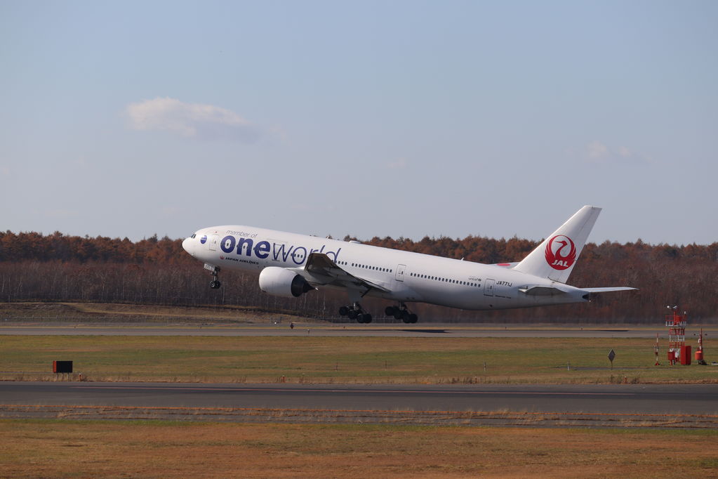 JAL one world
キーワード: JAL