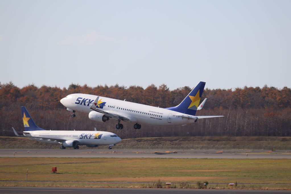 SKYMARK
キーワード: SKYMARK
