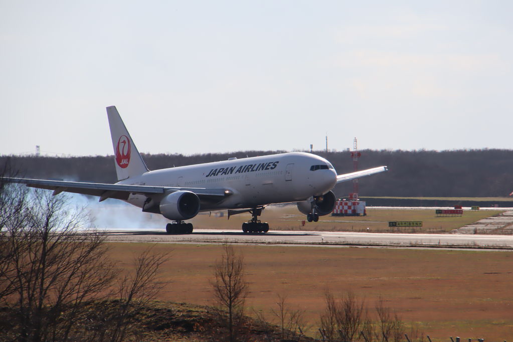 JAL
キーワード: JAL