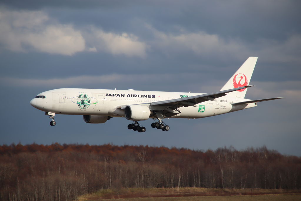 JAL
キーワード: JAL