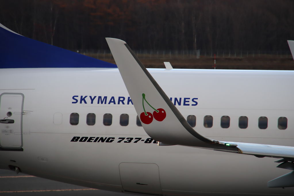 SKYMARK
ウイングレットはサクランボ
キーワード: SKYMARK