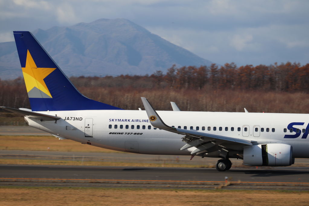 SKYMARK
ウイングレットはヒマワリ
キーワード: SKYMARK