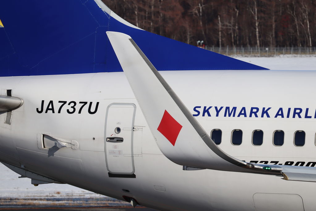 SKYMARK
キーワード: SKYMARK