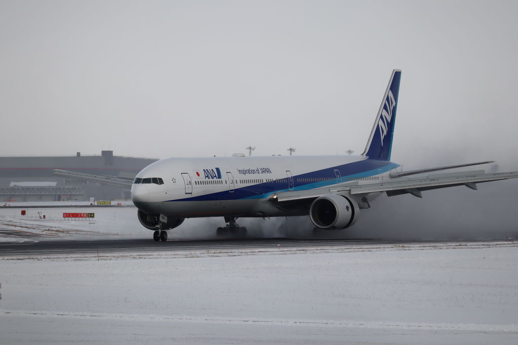 ANA
雪煙
キーワード: ANA