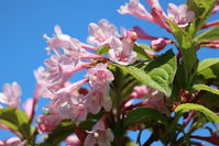 IMG_0040.jpg