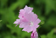 IMG_0836.jpg