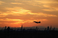 IMG_1683.jpg