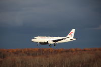 IMG_4755.jpeg