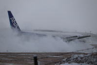 IMG_5519.jpeg