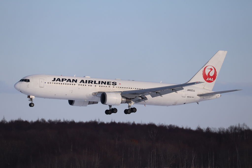 雪レフのJAL
キーワード: JAL