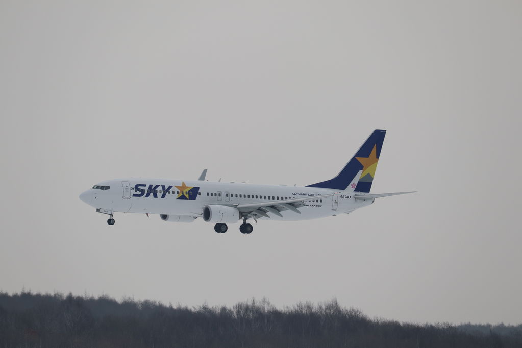 SKYMARK
キーワード: SKYMARK