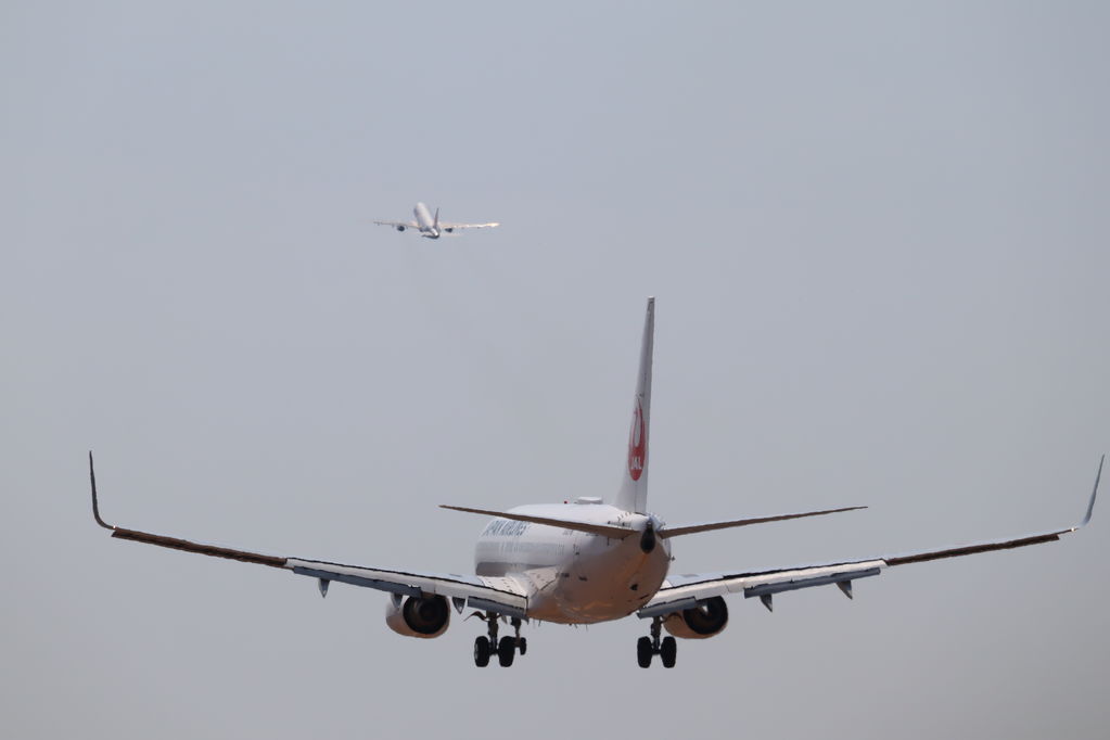 JAL
キーワード: JAL