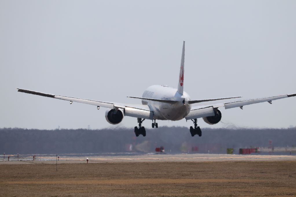 JAL
キーワード: JAL