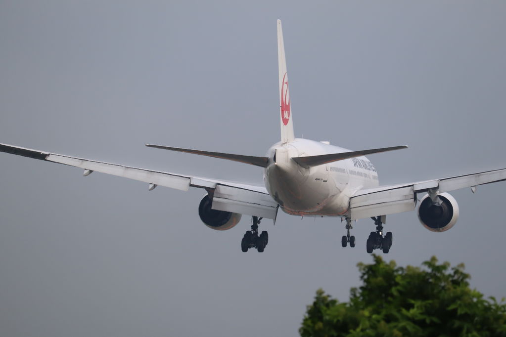 JAL
キーワード: JAL