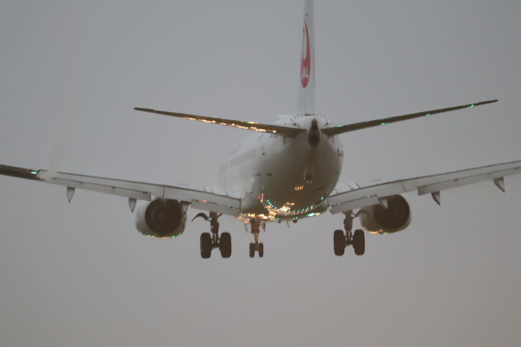 JAL
キーワード: JAL