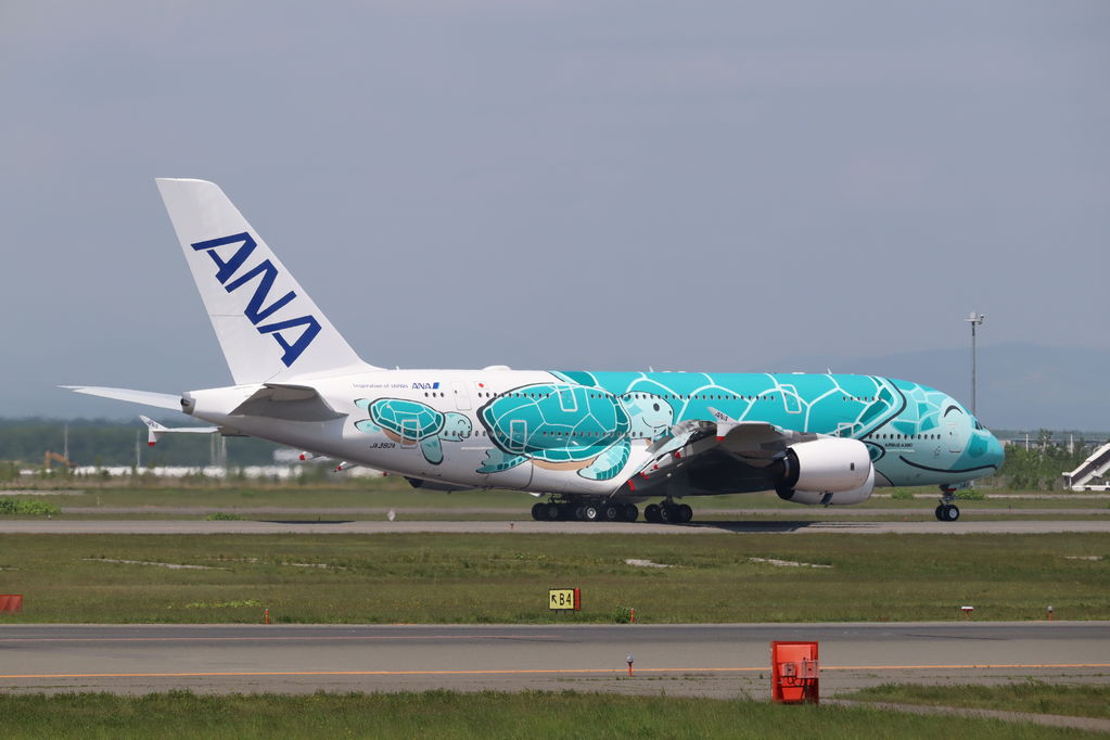 ANA Honu
キーワード: ANA Honu
