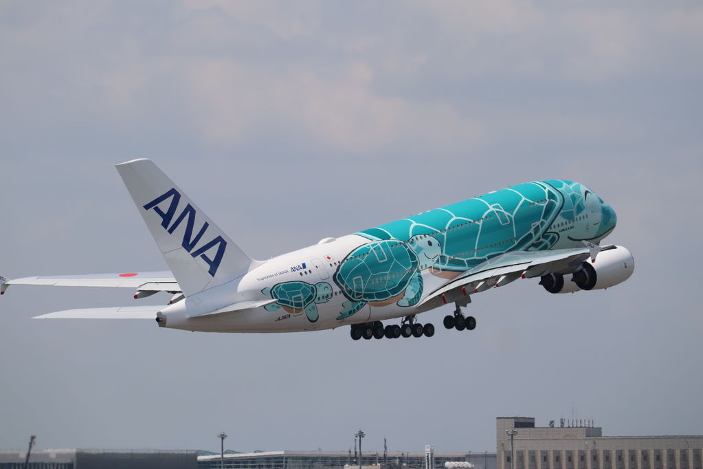 ANA Honu
キーワード: ANA Honu