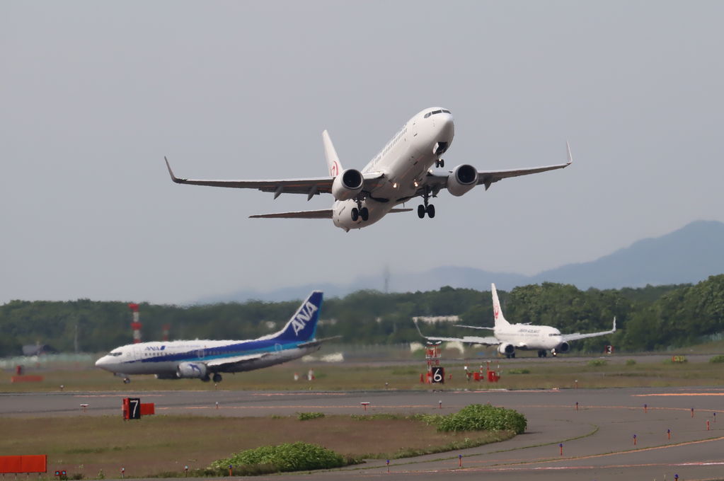 JAL
