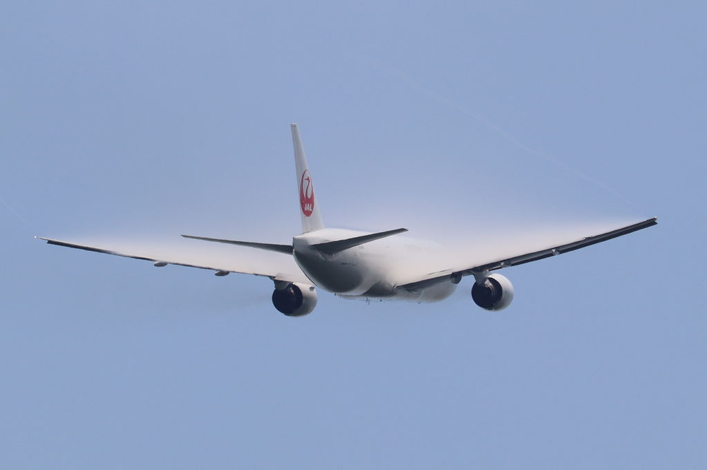 JAL
キーワード: JAL