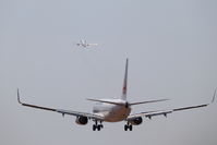 IMG_6867.jpeg