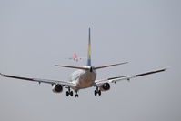 IMG_7174.jpeg