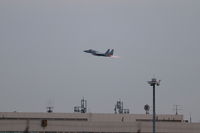 IMG_8287.jpg