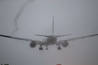 IMG_8536.jpg