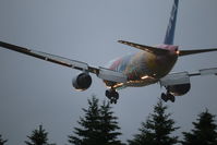 IMG_8583.jpg