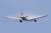 IMG_9198.jpeg