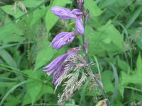 IMG_1526.JPG