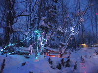 IMG_5455.JPG