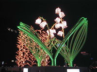 AUT_3874.JPG