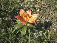 AUT_4476.JPG