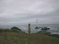 AUT_4616.JPG