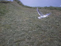 AUT_4618.JPG