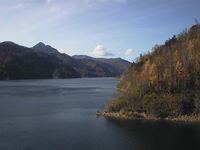 AUT_5505.JPG