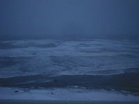 AUT_5629.JPG