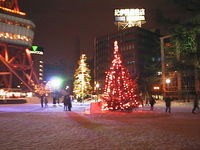 AUT_5651.JPG