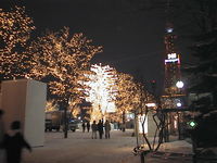 AUT_5656.JPG