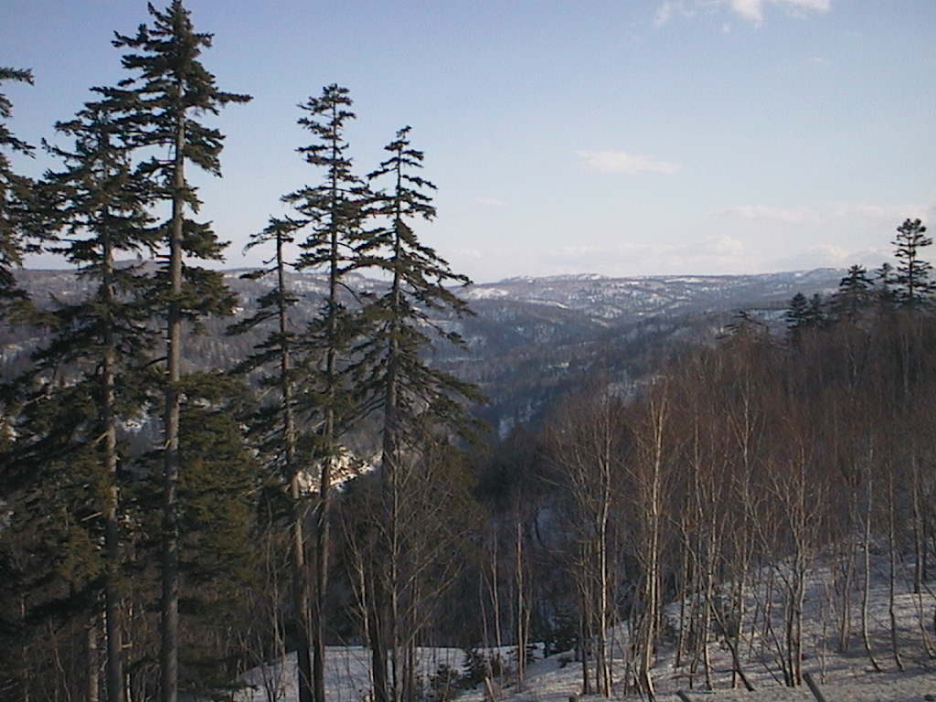 中山峠
キーワード: 峠 札幌エリア