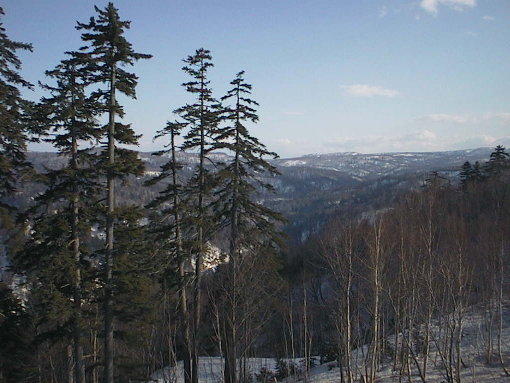 中山峠
キーワード: 峠 札幌エリア