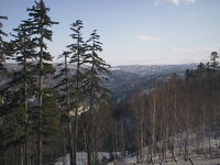 AUT_5935.JPG