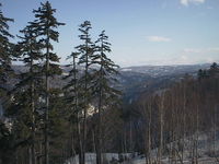AUT_5936.JPG